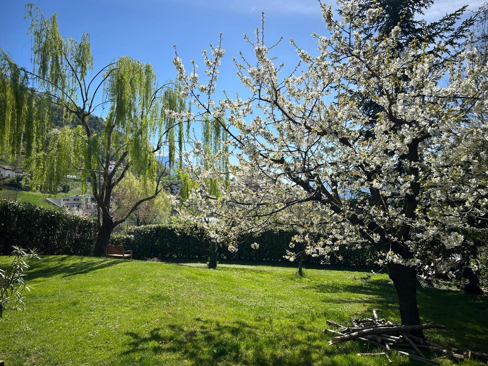 Holliday Charming Home Τρέντο Εξωτερικό φωτογραφία